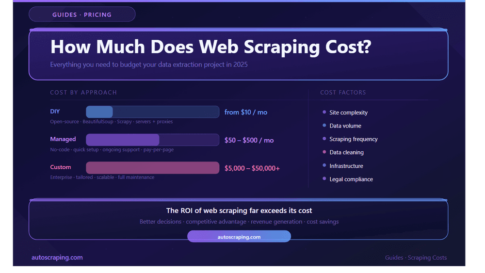 Cost of Web Scraping: What Businesses and Developers Need to Know