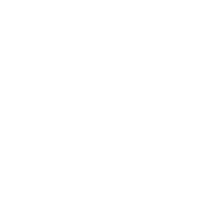 Govfile white icon